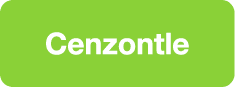 Cenzontle